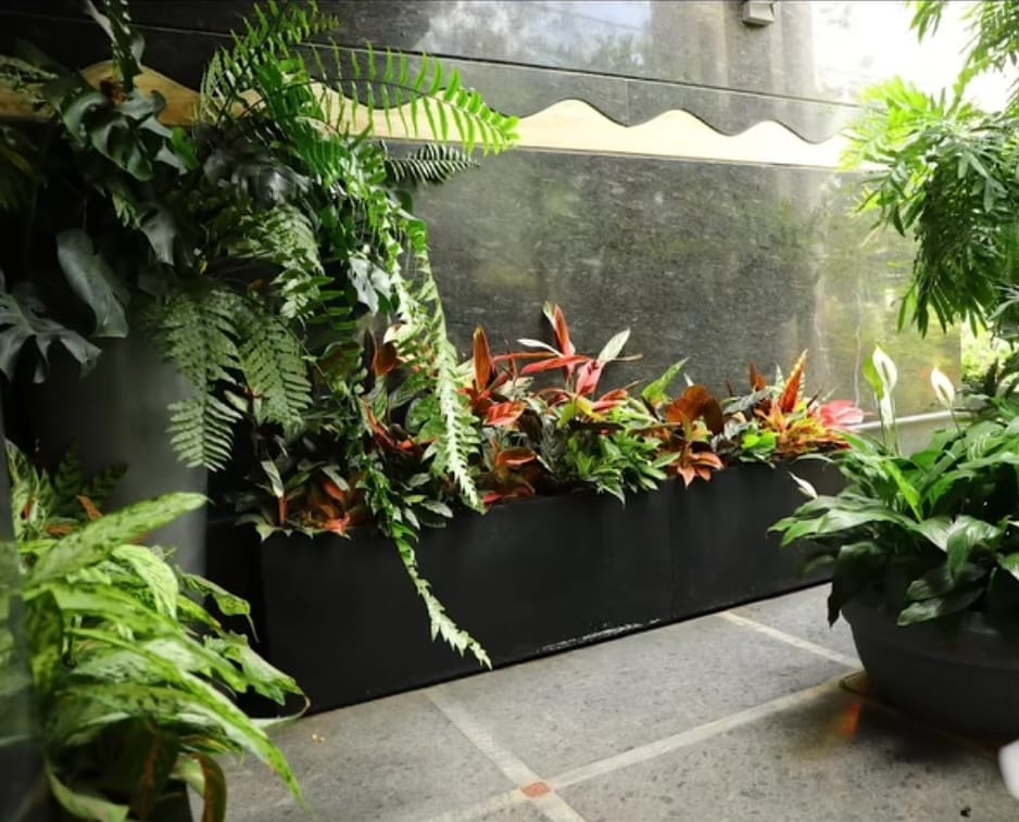 Rooftop Terrace Lounge Deck — Terrace garden project by RR Heaven Gardenblr